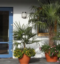 Albert 69618 Außenwandleuchte