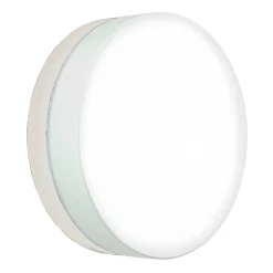 Albert 6309 LED Wand- / Deckenleuchte C, Ø: 31 cm