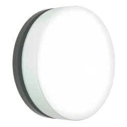 Albert 6309 LED Wand- / Deckenleuchte C, Ø: 31 cm