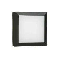 Albert 6560 LED Wand- / Deckenleuchte