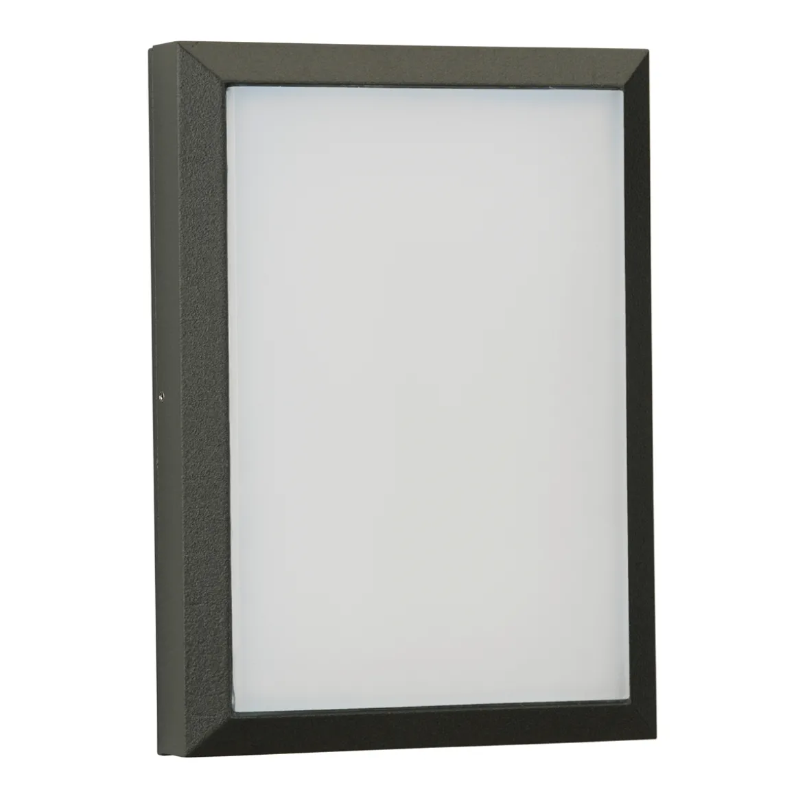 Albert 6403 Wand- / Deckenleuchte