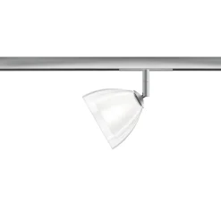 Bruck All-In Silva Spot