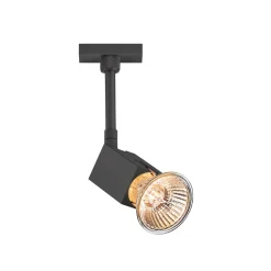 Bruck Duolare Scobo Spot SQ2 für Entblendringe / Glasringe