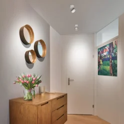 Bruck Vito Spot 50° LV C LED Deckenaufbaustrahler