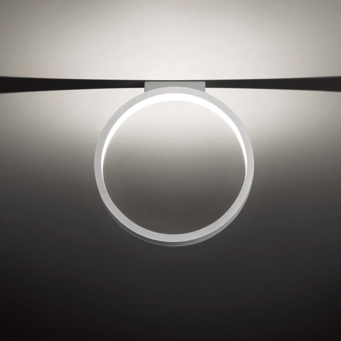 Cini & Nils Assolo43 Soffitto