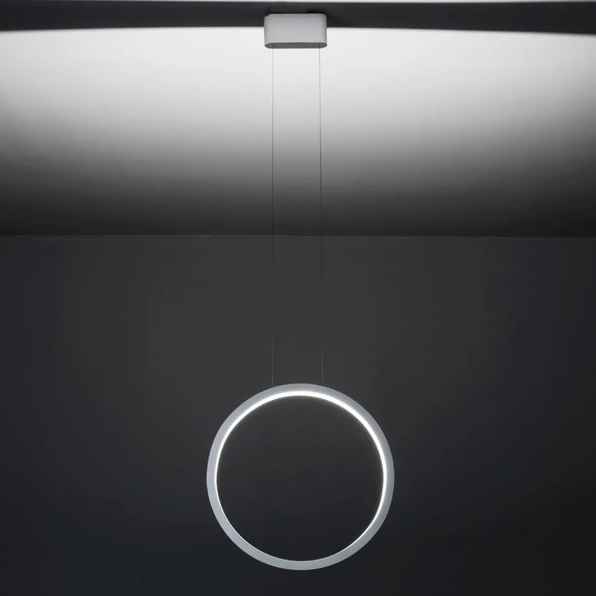 Cini & Nils Assolo Sospesa