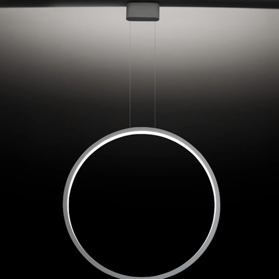 Cini & Nils Assolo Sospesa