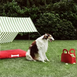 Fatboy Sjopper-Kees Tasche