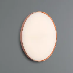 Flos Clara LED Wand- / Deckenleuchte