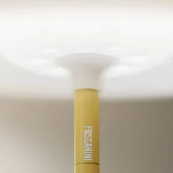 Foscarini Birdie Easy Lettura Terra