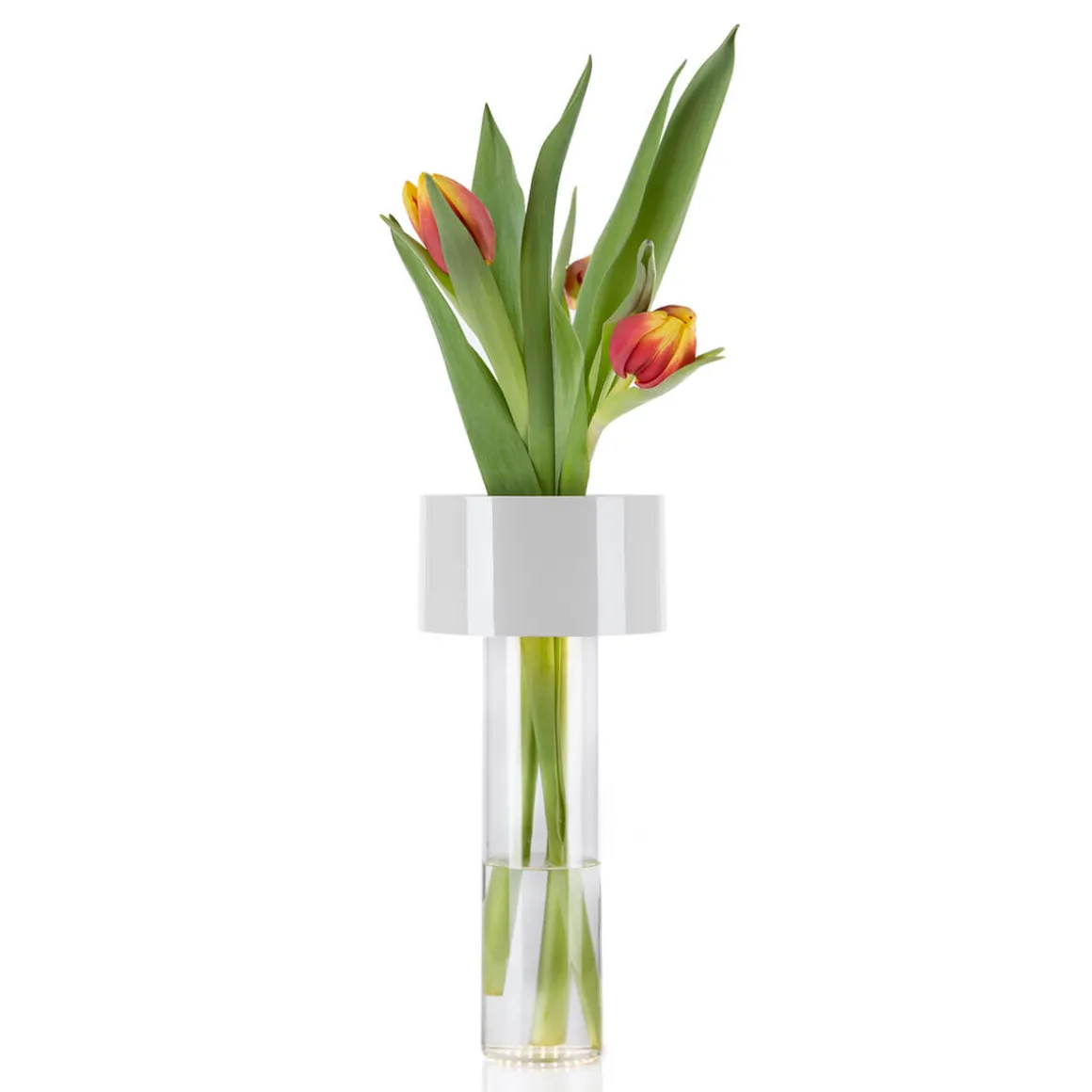 Foscarini Fleur LED Tavolo Akkuleuchte & Vase