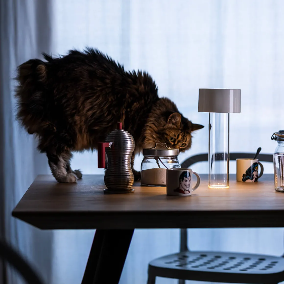 Foscarini Fleur LED Tavolo Akkuleuchte & Vase