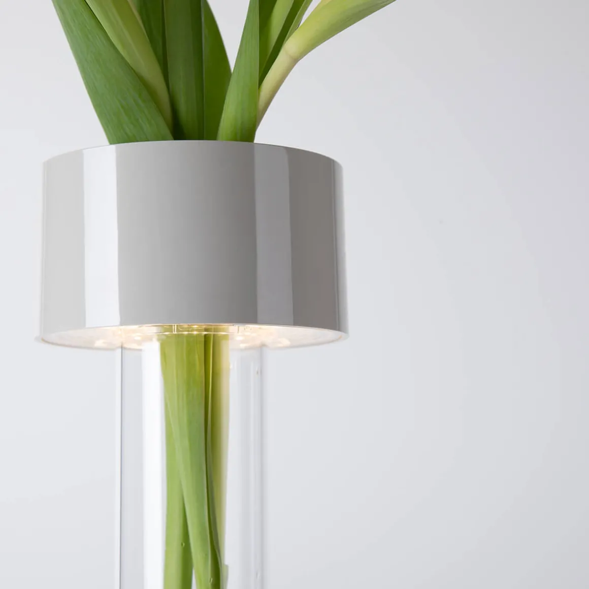 Foscarini Fleur LED Tavolo Akkuleuchte & Vase