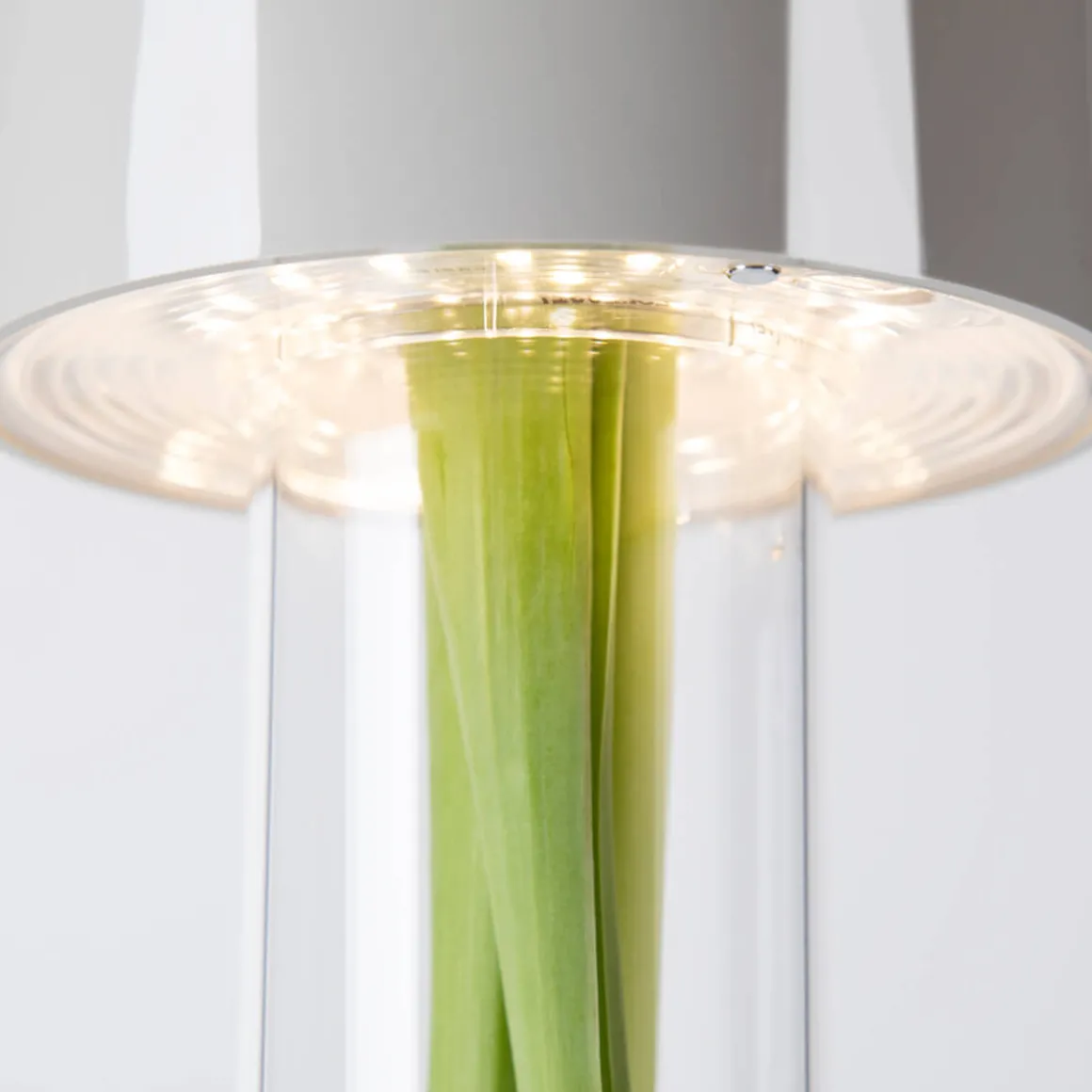 Foscarini Fleur LED Tavolo Akkuleuchte & Vase