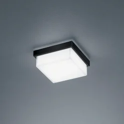 Helestra Cosi LED Wand- / Deckenleuchte