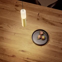 Helestra Lidos LED Pendelleuchte