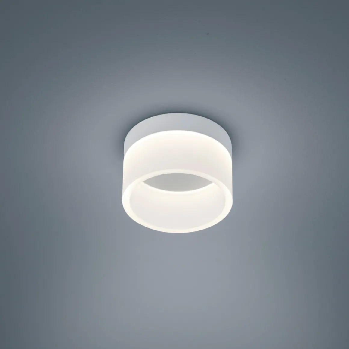 Helestra Liv LED Deckenleuchte