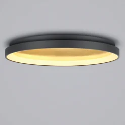 Helestra Mori LED Deckenleuchte