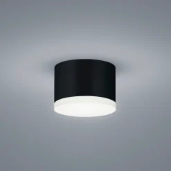 Helestra Pala LED Deckenleuchte