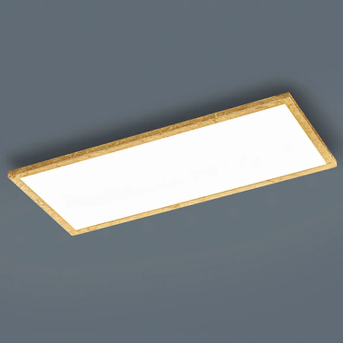 Helestra Rack LED Deckenleuchte, 61 x 26 cm