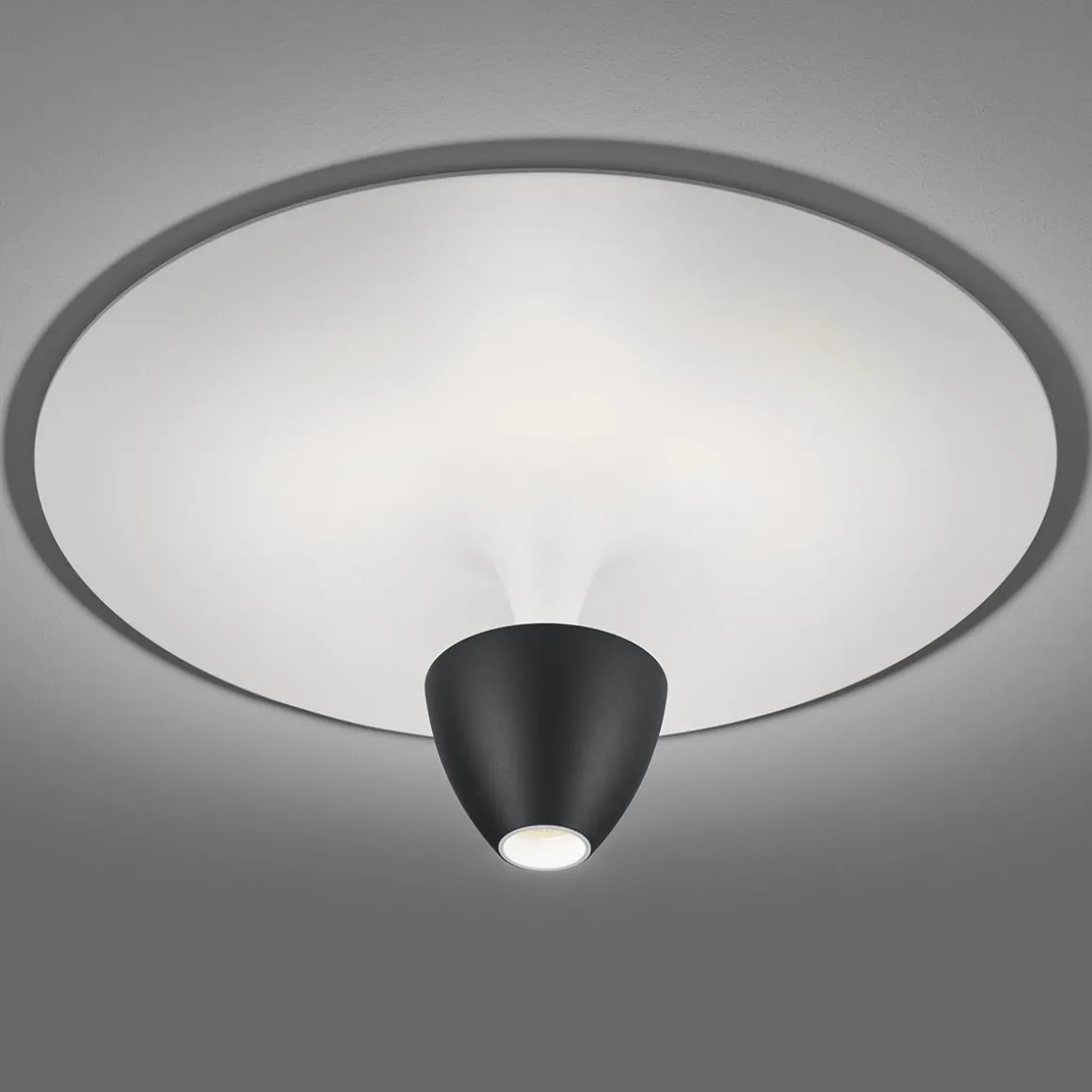 Helestra Redo LED Deckenleuchte mit Casambi-Modul