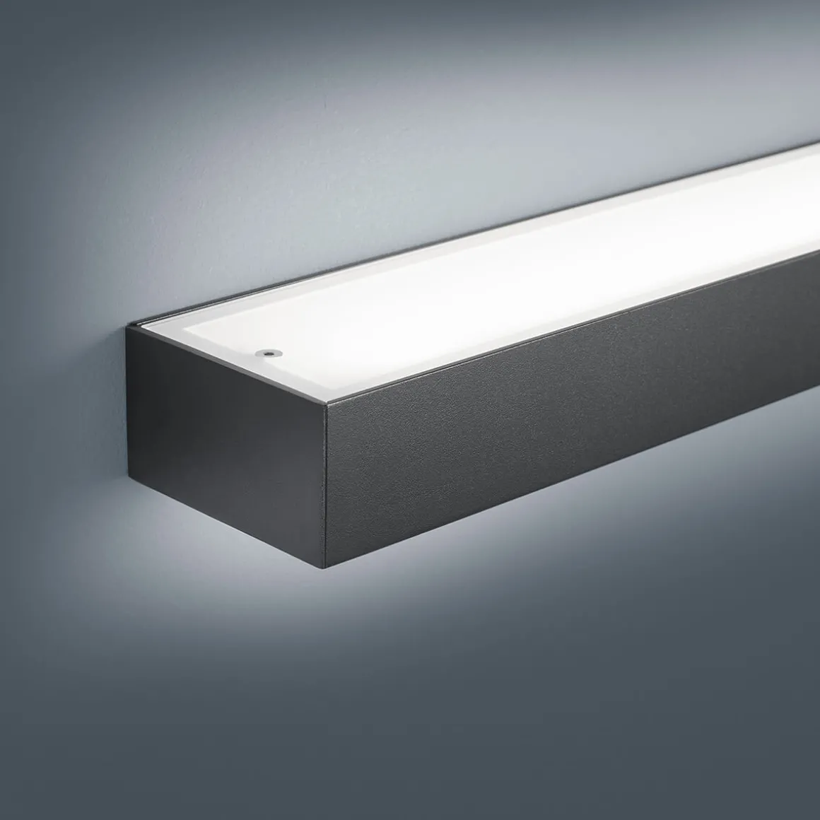 Helestra Theia LED Wandleuchte