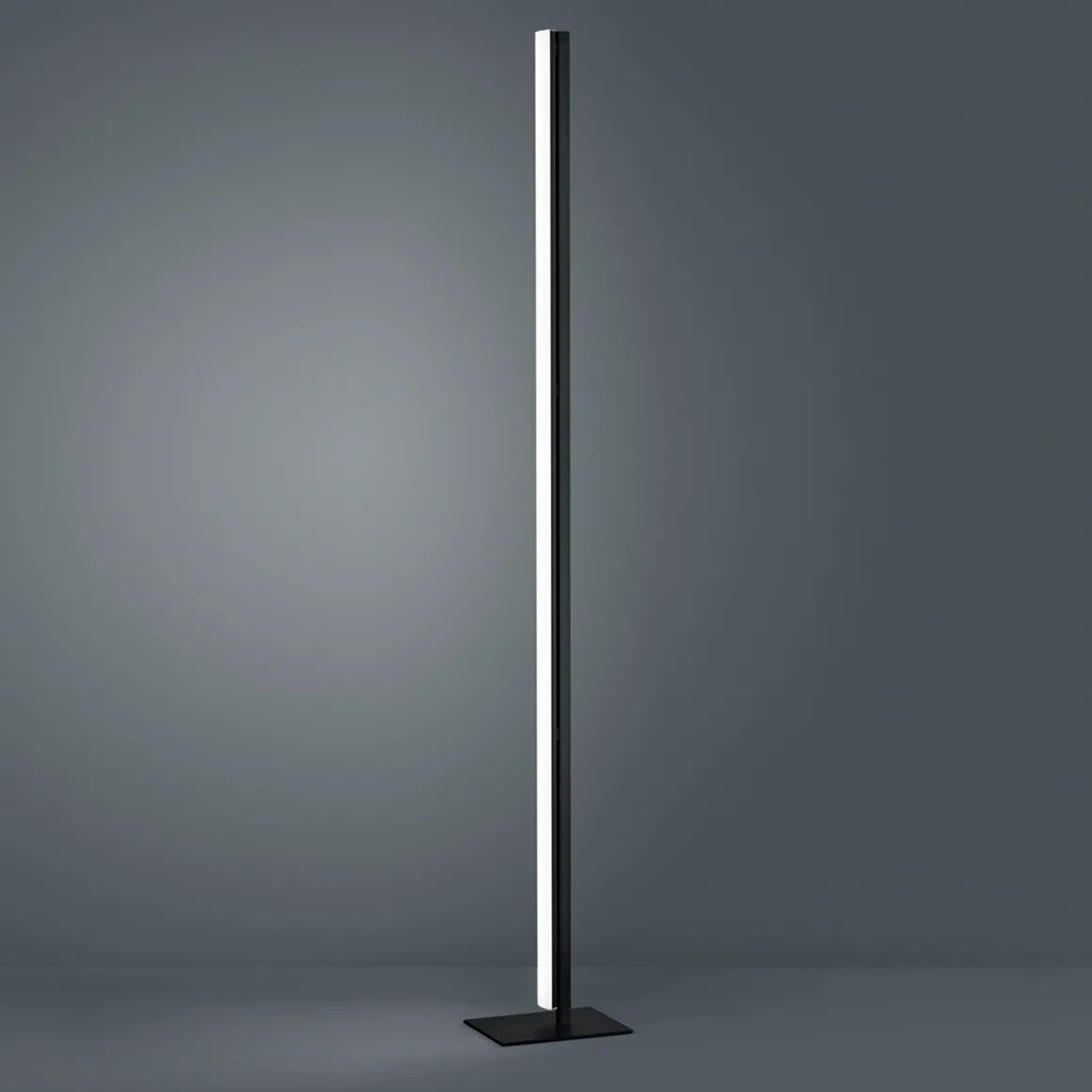 Helestra Venta LED Stehleuchte