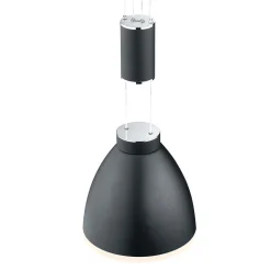 HELL Leni LED Pendelleuchte, 3-flg., mit Rondell