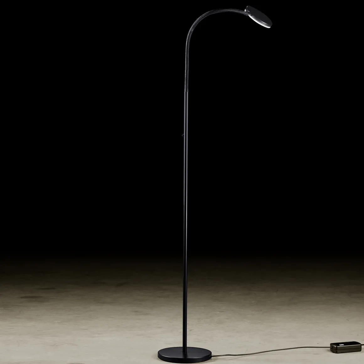 Holtkötter Leuchten Flex S LED Stehleuchte