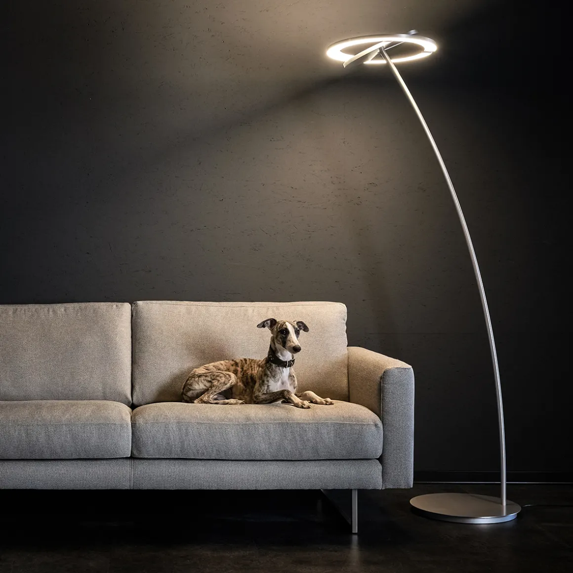 Holtkötter Leuchten Supernova DW LED Deckenfluter