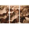 ImageLand Glasbild Digitaldruck Wildpferde II, 3er-Set, 120 x 180 cm