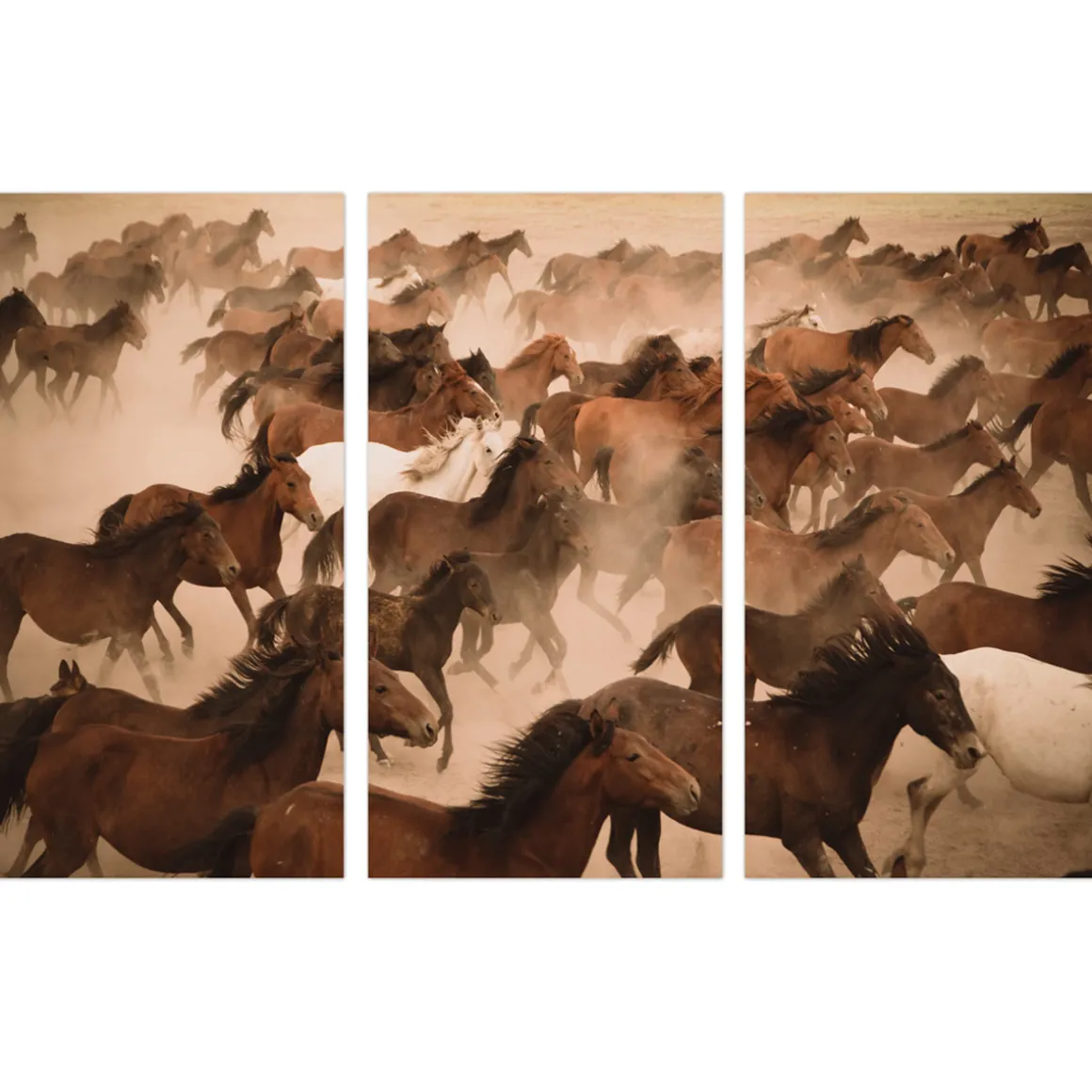 ImageLand Glasbild Digitaldruck Wildpferde II, 3er-Set, 120 x 180 cm