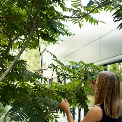 IP44.DE Cherry bubbls plug LED Lichterkette