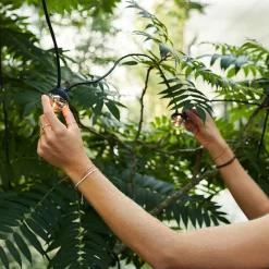 IP44.DE Cherry bubbls plug LED Lichterkette