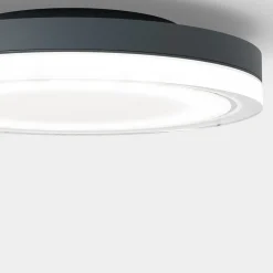 IP44.DE Lisc LED Außenwand- / Deckenleuchte