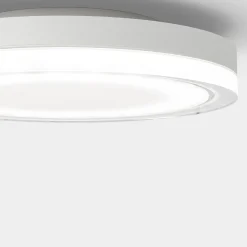 IP44.DE Lisc LED Außenwand- / Deckenleuchte