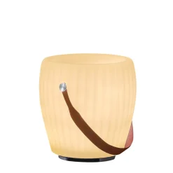 Joouls The Joouly Bowl L LED Akkuleuchte, Bluetooth Lautsprecher & Weinkühler