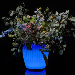 Joouls The Joouly Bowl L LED Akkuleuchte, Bluetooth Lautsprecher & Weinkühler