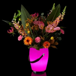 Joouls The Joouly Bowl M LED Akkuleuchte, Bluetooth Lautsprecher & Weinkühler