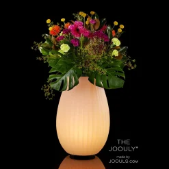 Joouls The Joouly LED Akkuleuchte, Bluetooth Lautsprecher & Weinkühler