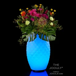 Joouls The Joouly Ltd. LED Akkuleuchte, Bluetooth Lautsprecher & Weinkühler