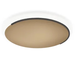 Knapstein Astra-60 LED Wand- / Deckenleuchte