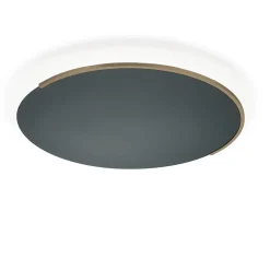 Knapstein Astra-C-60 LED Wand- / Deckenleuchte, mit Casambi