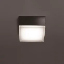 LCD Außenleuchten 1425/1426 LED Wand- / Deckenleuchte