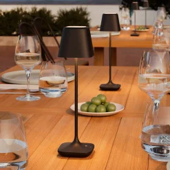 Leonardo Capri RGB LED Akkuleuchte