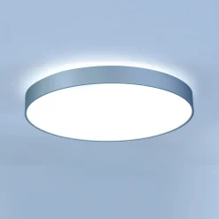 Lightnet Basic-X1 Deckenleuchte, Mikroprismatik