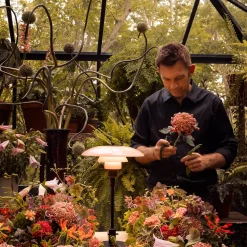 Louis Poulsen PH 3/2 Dusty Terracotta Tischleuchte Limited Edition