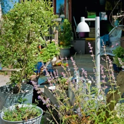 Louis Poulsen Toldbod 155 Pollerleuchte