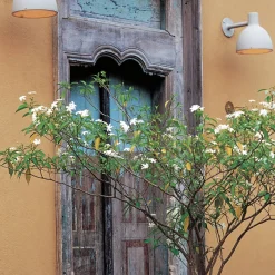 Louis Poulsen Toldbod 155 Wandleuchte