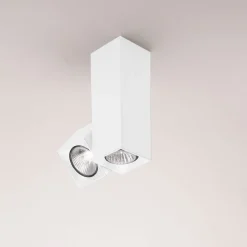 Milan Dau Spot Deckenstrahler, verstellbar